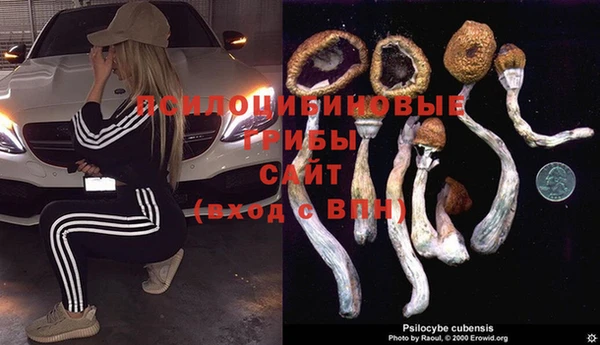ECSTASY Заводоуковск