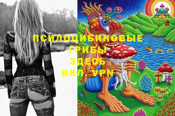 меф Заволжск