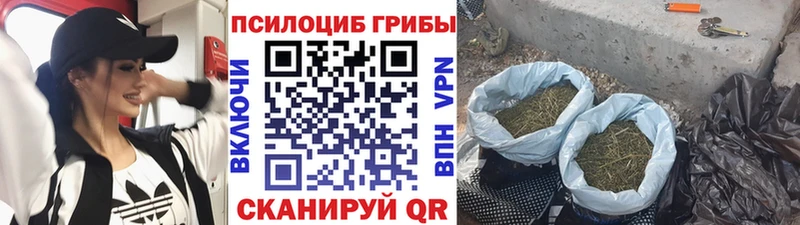 сайты даркнета состав  Чулым  Галлюциногенные грибы мухоморы  сколько стоит 